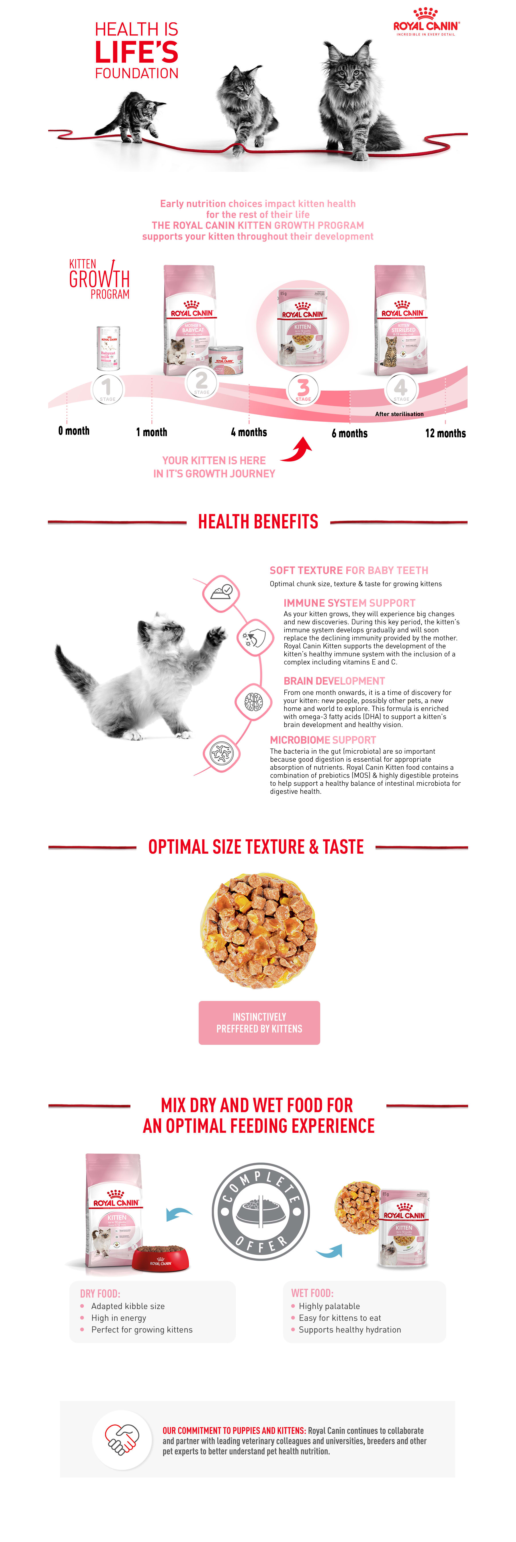 Royal canin 2nd 2024 stage kitten food